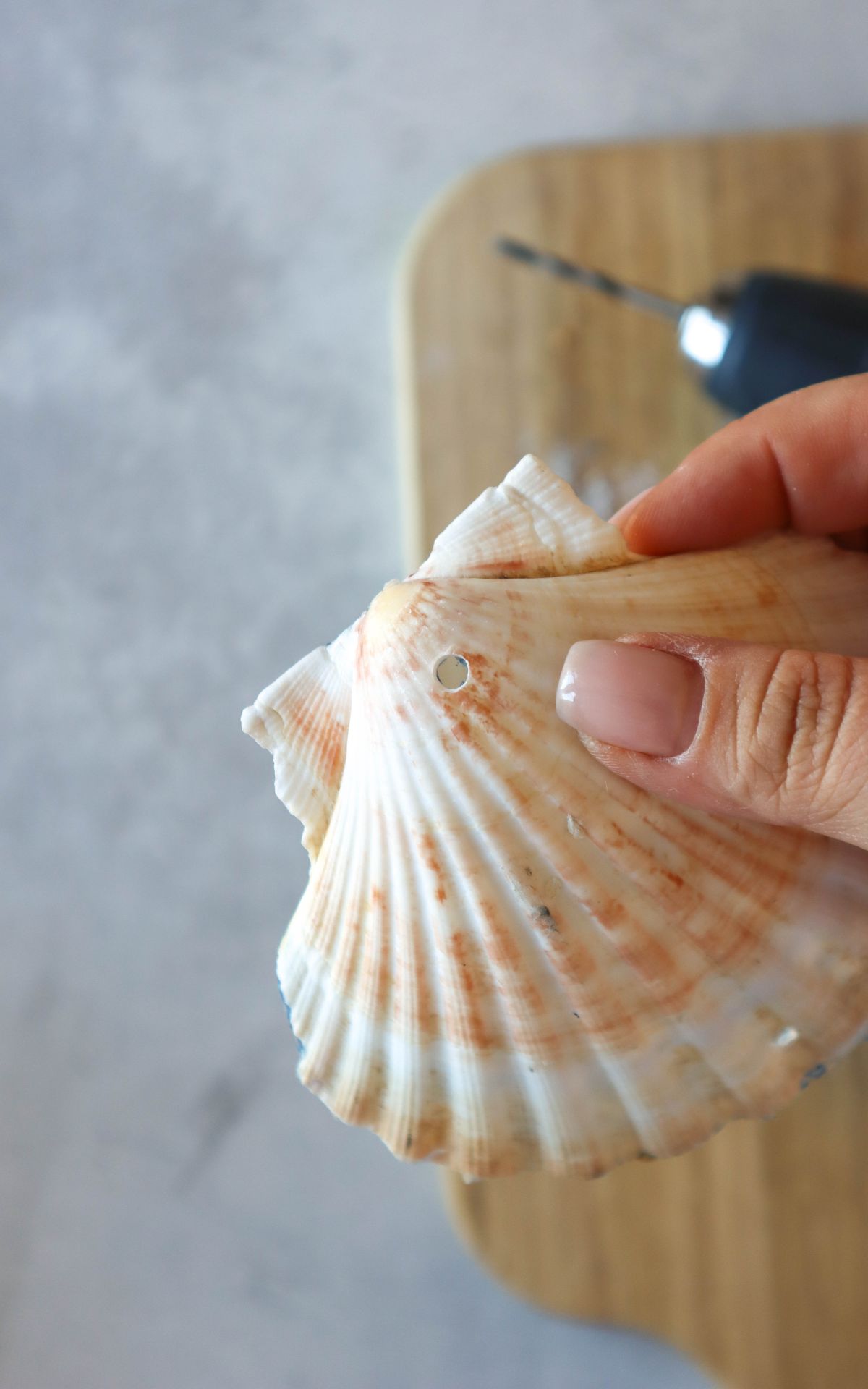 Windspiel basteln aus Naturmaterialien: Ich zeige dir, wie du ein bezauberndes Boho-Windspiel mit Muschelscheiben, Federn und Holzperlen selbst gestalten kannst. Die perfekte DIY-Idee für eine individuelle Garten- oder Hochzeitsdekoration.