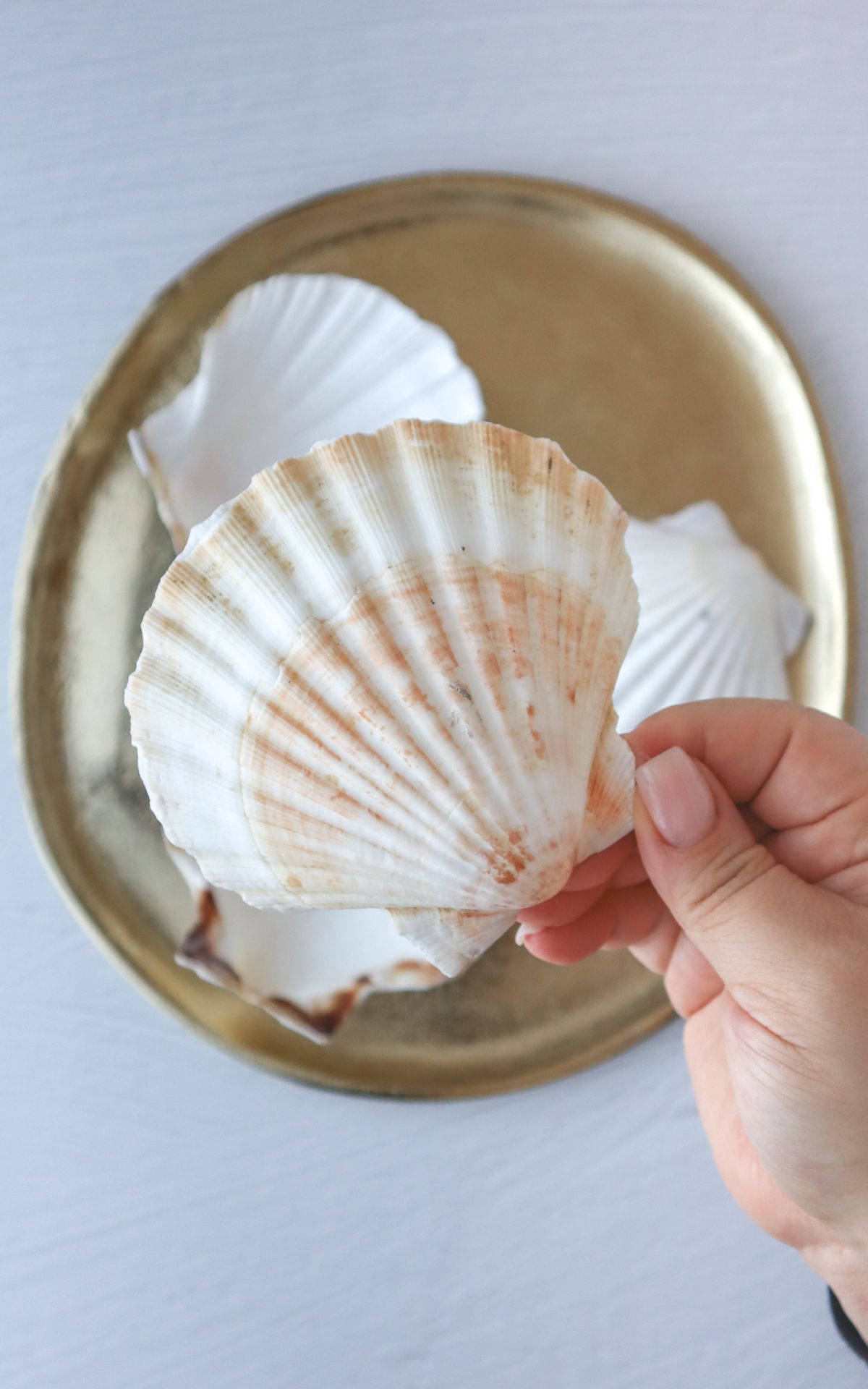 Basteln mit Muscheln macht genau so süchtig wie Muscheln sammeln! 🐚 Ich zeige dir, wie du zauberhaft maritime Sommerdeko aus gesammelten Muscheln basteln kannst: Maritime DIY Schmuckschale aus Muscheln mit Serviettentechnik